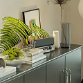 Elegant Clubhouse Interior With Dark Cabinet Decorations Plants Green Chair And Black White Patterned Rug