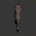 Brown Horse Wearing Reins With White Legs And Yellow Hooves In 3D Rendering
