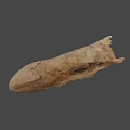 Ancient Flying Animal Skull Fossil With Preserved Skeletal Structure And Details