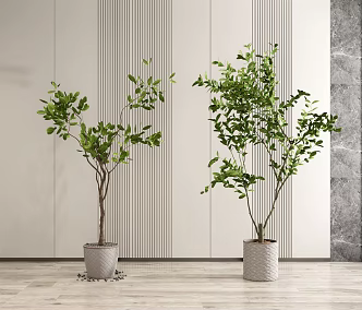 Modern potted plants 3d model