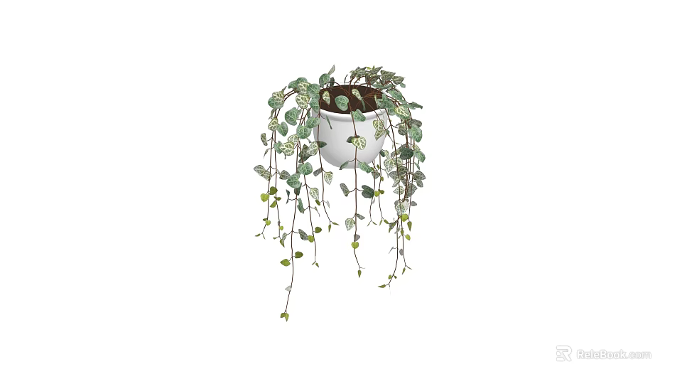 Hanging Bonsai Potted Plant with Long Vines and Green Leaves in White Ceramic Pot 3d model 