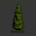 Conical Green Plant With Round Base And Grass Like Decoration On Gray Background