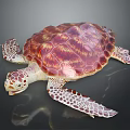Colorful Sea Turtle With Red Purple Patterned Shell And Spotted Flippers On Black Background