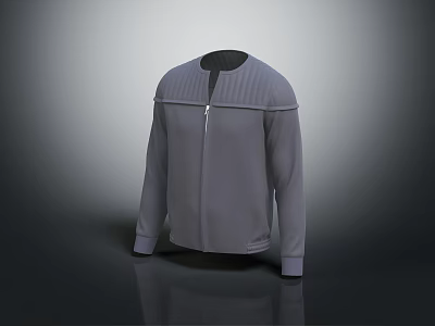 Gray Striped Jacket With Zipper Closure Modern Casual Fashion Design 3d model