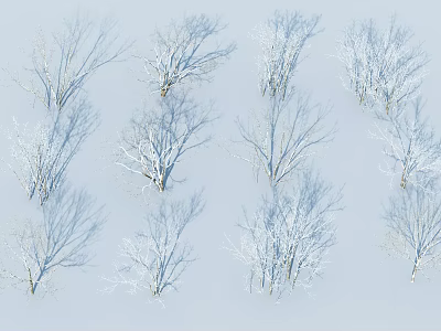 Snow Covered Leafless Trees With Light Blue Background In Grid Arrangement 3d model