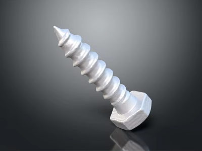 Durable Silver Hardware Tools Screw With Hex Head And Threaded Shank For Construction Projects 3d model