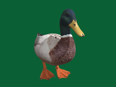 The Modern Duck 3d model The Modern Duck 3d model