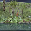Tropical Garden Landscape With Lush Green Plants Tall Palms Background Trees And Illuminated Pond