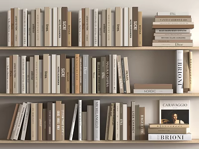 Neatly Arranged Books And Magazines On Wooden Shelves With Various Titles 3d model