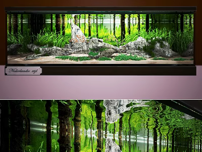 Natural Aquarium Tank Landscape With Lush Aquatic Plants Rock Decor And Reflections 3d model