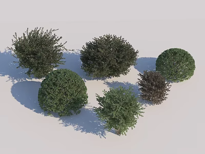 Green And Dark Green Shrubs With Round Irregular Shapes And Sizes 3d model