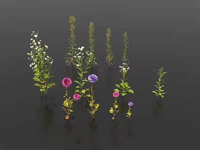 Colorful Floral Plants with Pink Purple White Flowers and Green Leaves 3d model