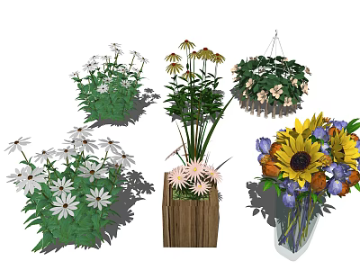 modern chrysanthemum 3d model