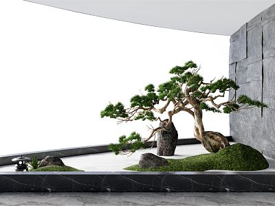 Japanese style landscape sketch dry landscape sketch black pine Luo Han pine model