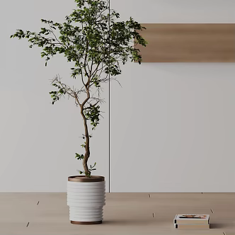 Modern Potted Plant 3d model