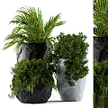 Natural Garden Accents With Stone Textured Planters And Lush Green Foliage