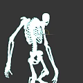 Game Movie Character Skeleton Figure In Standing Pose With Realistic Anatomical Details