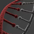 Advanced Medical Device for DNA Double Helix Structure Analysis and Research 3d model