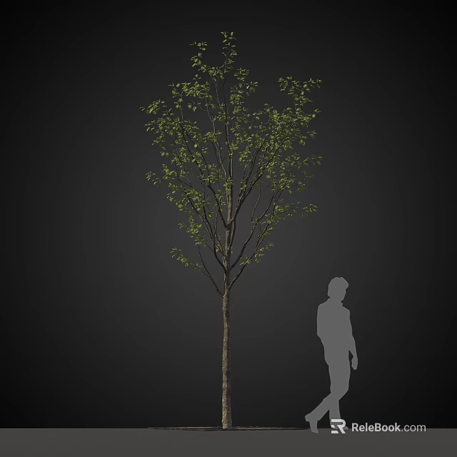 Tall Arbor with Green Leaves Against Dark Background and Human Silhouette 3d model 