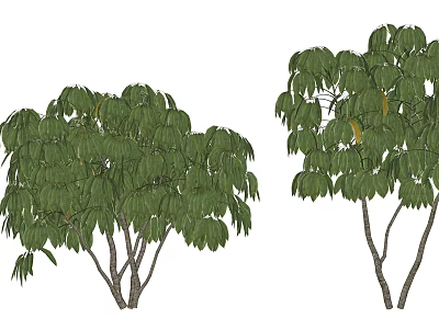 Lush Arbor With Green Leaves And Multiple Trunks For Garden Landscaping 3d model