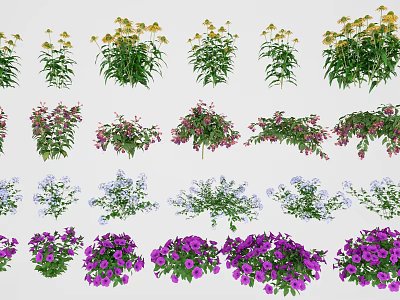 Vibrant Garden Flowers and Plants With Diverse Colors and Lush Foliage 3d model