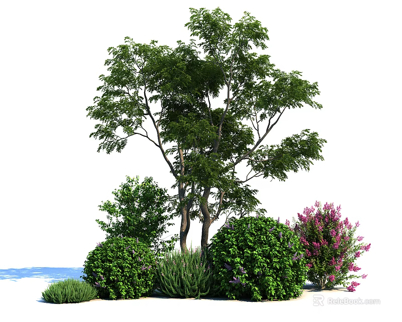 Beautiful Green and Purple Flowering Shrubs in Garden with Trees and Plants 3d model 