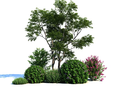 Beautiful Green and Purple Flowering Shrubs in Garden with Trees and Plants 3d model