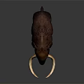 Realistic Brown Mammoth Sculpture With Long Curved Tusks Standing On Dark Surface