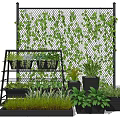 Garden Decor with Grid Fence Covered in Green Vines and Metal Plant Racks