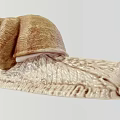 Close Up View Of Garden Snail With Brown Spiral Shell And Light Colored Textured Body