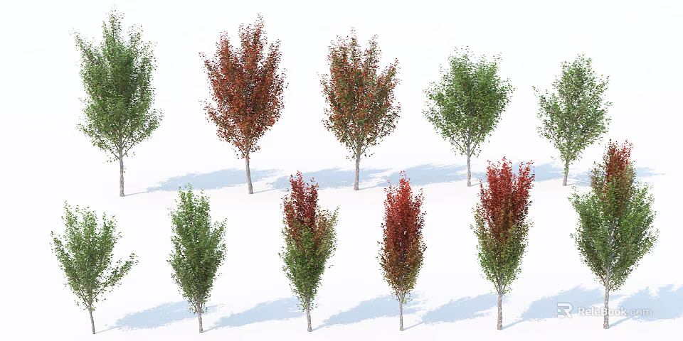 Diverse Arbor Trees Featuring Green and Red Foliage in Various Sizes and Shapes 3d model 