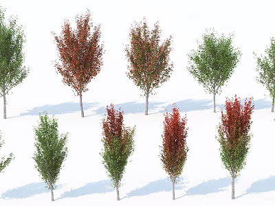 Diverse Arbor Trees Featuring Green and Red Foliage in Various Sizes and Shapes 3d model