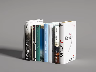 Colorful Books Collection With Different Cover Designs And Various Titles On 3d model