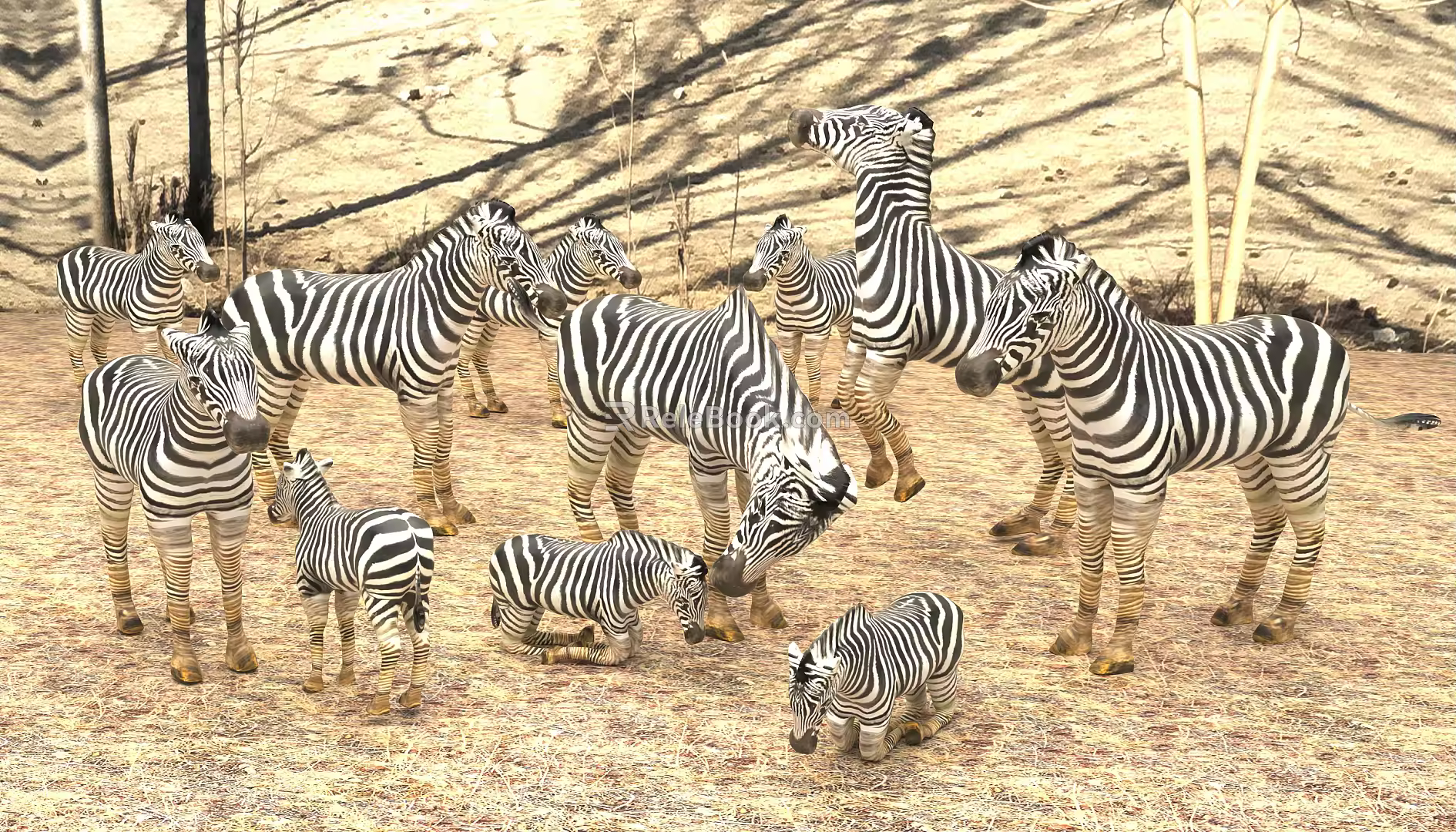 Modern Zebra 3d model