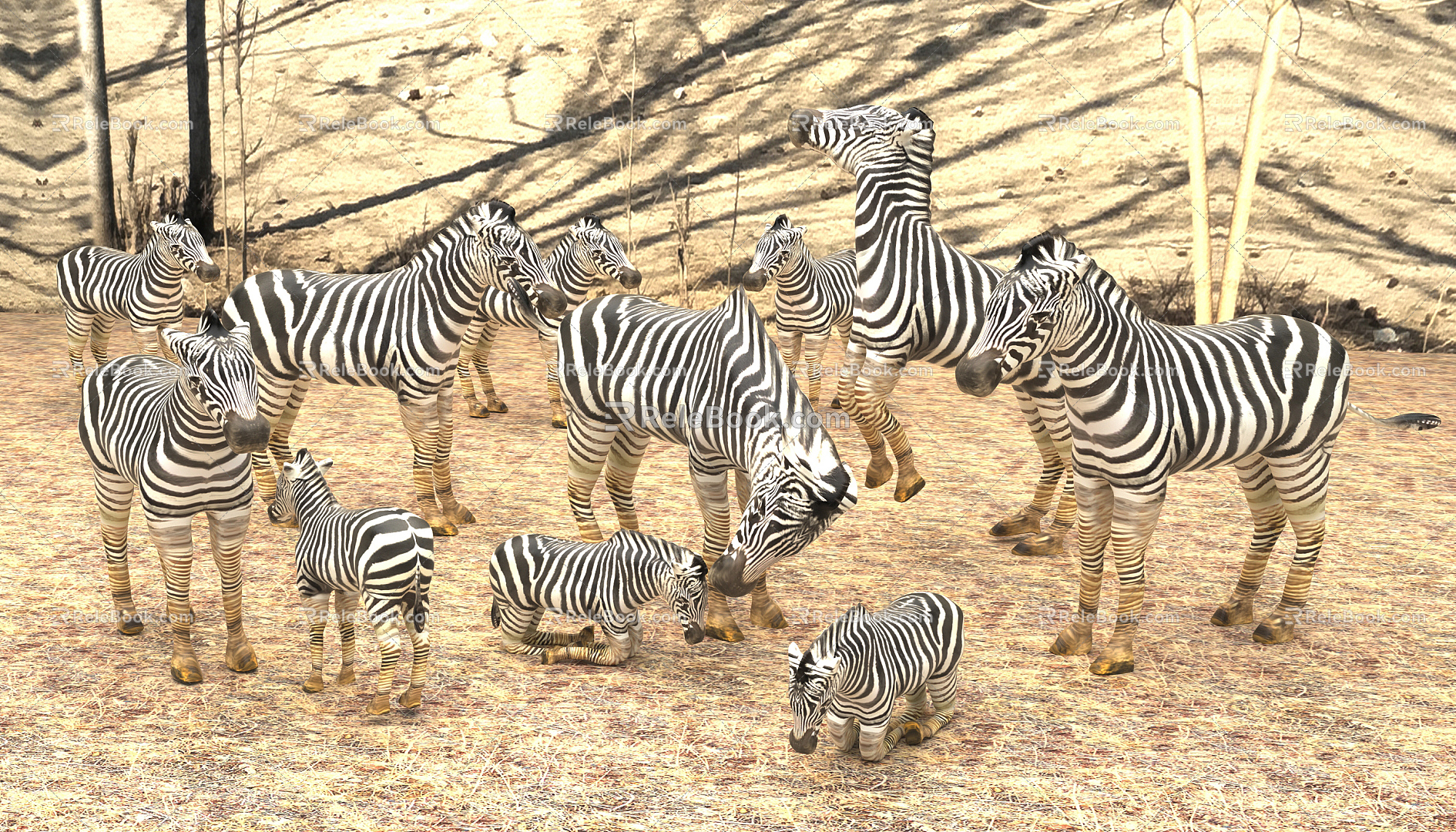 Modern Zebra 3d model