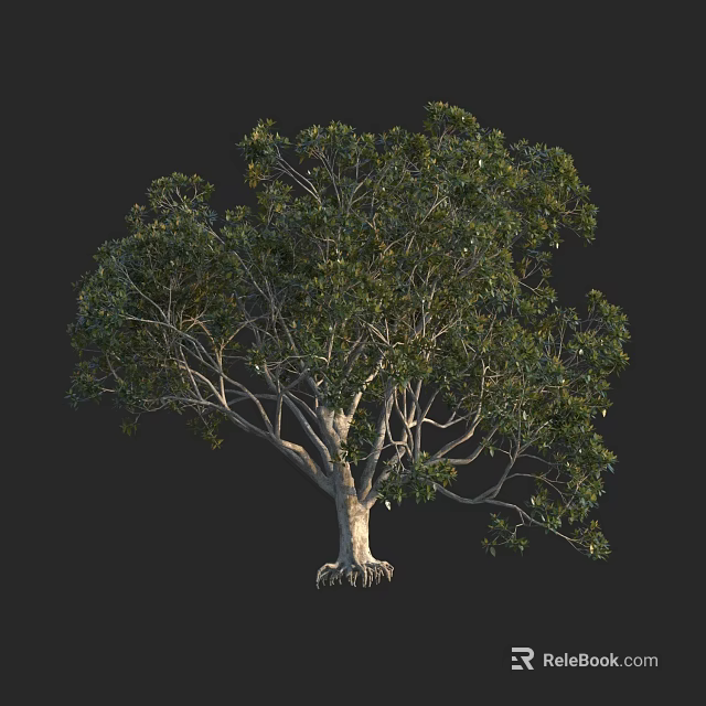 Lush Green Arbor With Thick Trunk And Exposed Roots In Isolated Black Background 3d model 