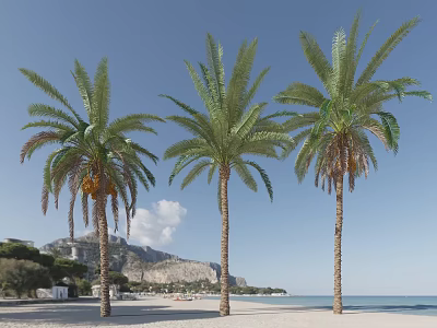 Three Palm Trees Standing on Beach with Mountains under Blue Sky and White Clouds 3d model