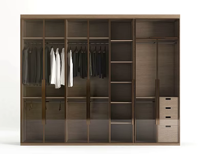 Modern Wooden Wardrobe Interior Design With Hanging Rods Shelves And Drawers 3d model