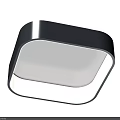 Square Modern Ceiling Light with Dark Gray Frame and White Panel for Indoor Home Use 3d model