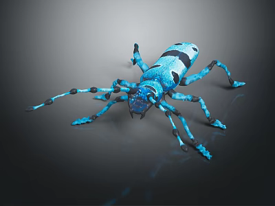 Vibrant Blue and Black Flying Insect with Patterned Wings and Detailed Body Features 3d model