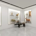 Spacious Bright Exhibition Hall With Neatly Arranged Wooden Display Cabinets And Exhibits