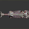 3D Bovine Anatomical Model for Veterinary Medical Device Displaying Skeletal and Vascular Systems