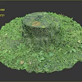 Natural Wooden Stump Surrounded By Green Vines Moss Mushrooms And Fallen Leaves