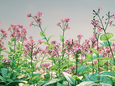 Vibrant Pink Flowers With Green Leaves In Lush Natural Garden Growth 3d model