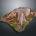 Natural Wood Tree Stump Featuring Fallen Leaves And Green Grass On Gray Background