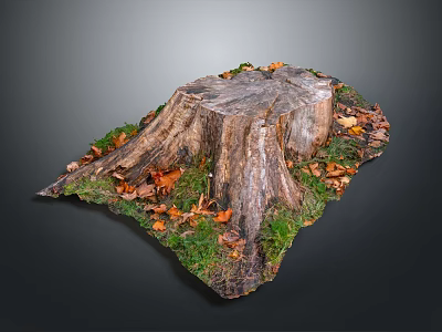 Natural Wood Tree Stump Featuring Fallen Leaves And Green Grass On Gray Background 3d model