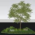 Tall Arbor Tree With Lush Green Leaves Small Flowers And Surrounding Plants On Landscaped Ground