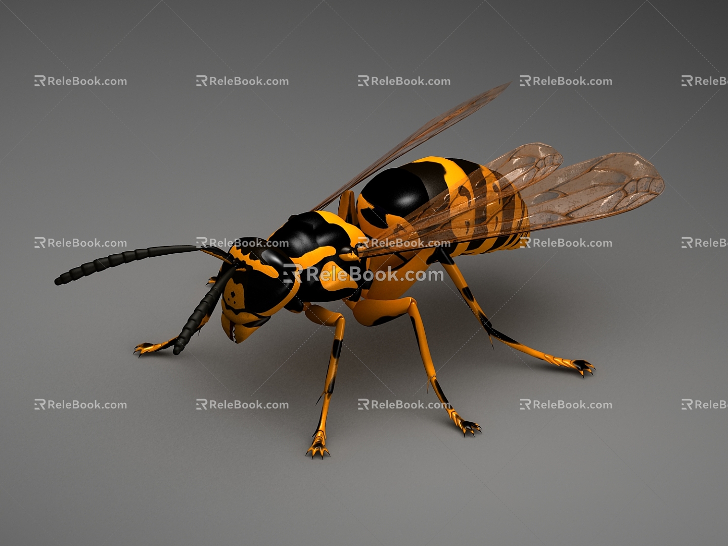 Modern Bees 3d model