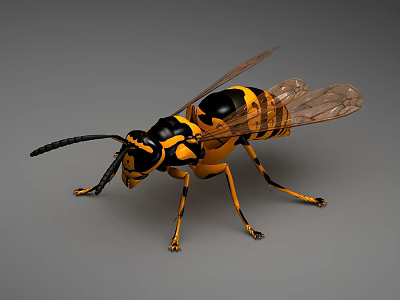 Black and Yellow Striped Flying Wasp with Transparent Wings Long Antennae and Slender Legs 3d model
