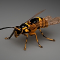 Modern Bees 3d model